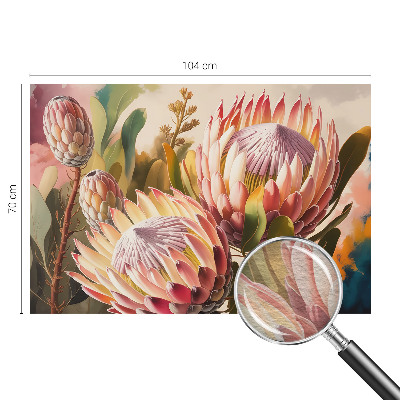 Fotovæg med motiv af protea-blomster