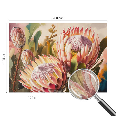 Fotovæg med motiv af protea-blomster