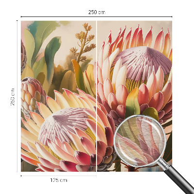 Fotovæg med motiv af protea-blomster