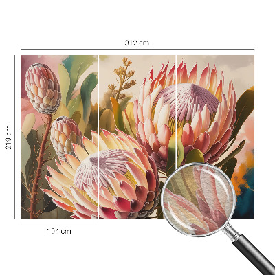 Fotovæg med motiv af protea-blomster