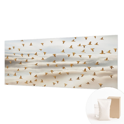 Vlies fototapet Fugle i flugt