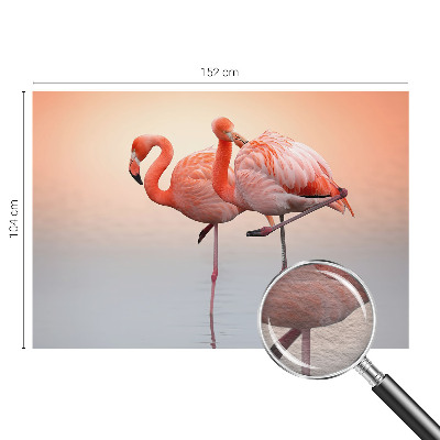 Modern fototapet Delikate flamingoer
