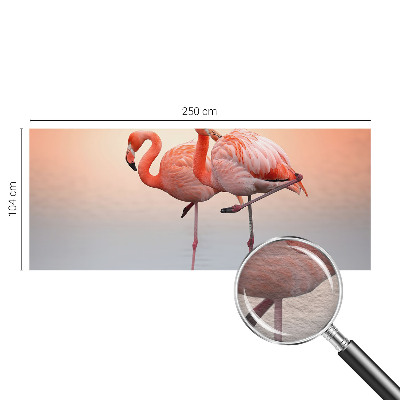 Modern fototapet Delikate flamingoer