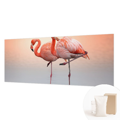 Modern fototapet Delikate flamingoer