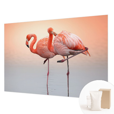 Modern fototapet med et delikat motiv af flamingoer
