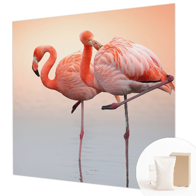 Modern fototapet Delikate flamingoer