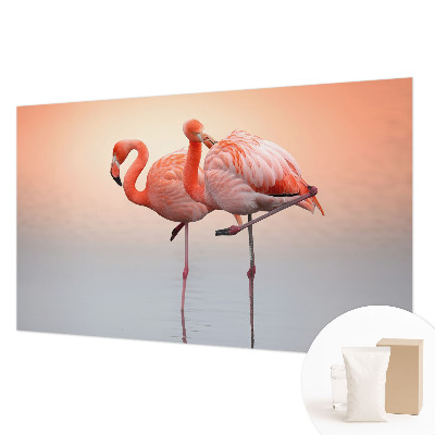 Modern fototapet Delikate flamingoer