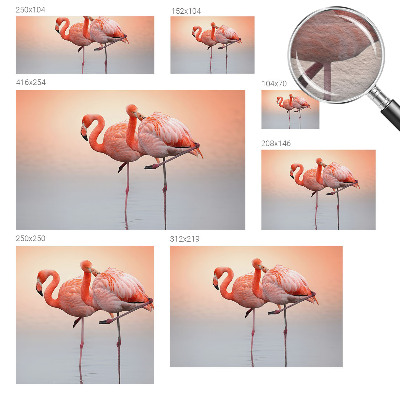 Modern fototapet med et delikat motiv af flamingoer