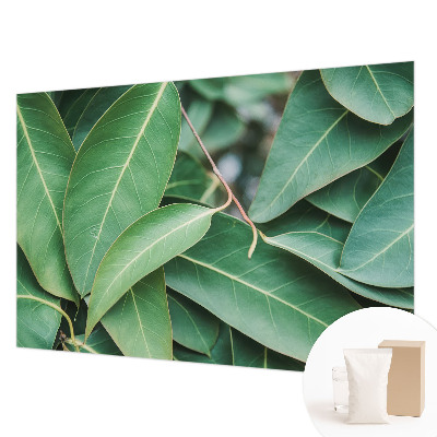 Fototapet efter mål Grønne blade