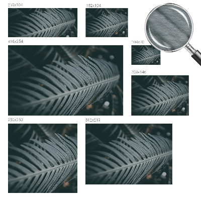 Stor fototapet Grønt blad