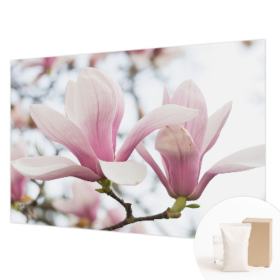 3D fototapet med motiv af magnoliablomster