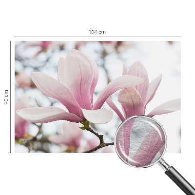 3D fototapet Magnoliablomster