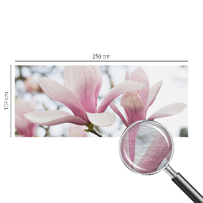 3D fototapet Magnoliablomster