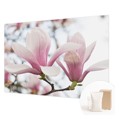 3D fototapet med motiv af magnoliablomster