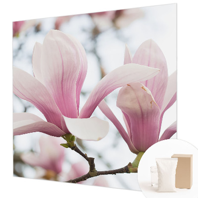 3D fototapet Magnoliablomster