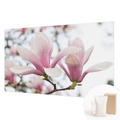 3D fototapet Magnoliablomster