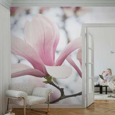 3D fototapet med motiv af magnoliablomster