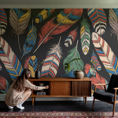 Tapet væg Farverige fjer