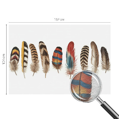 Fototapet på mål Farverige fjer