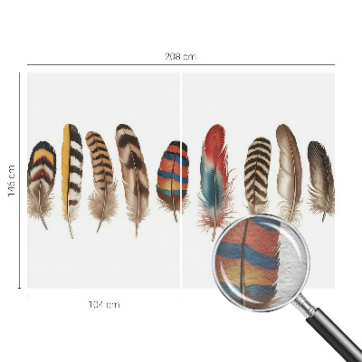 Fototapet på mål Farverige fjer