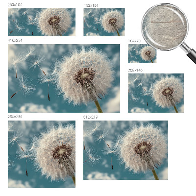 3D fototapet En let æteriskhed