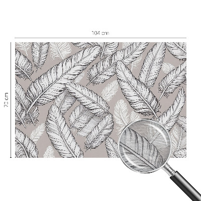 Foto tapet Subtile fjer