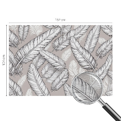 Foto tapet Subtile fjer