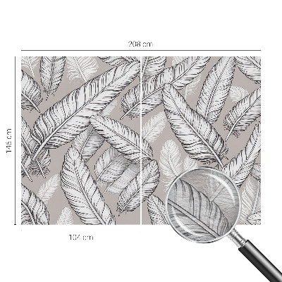 Foto tapet Subtile fjer