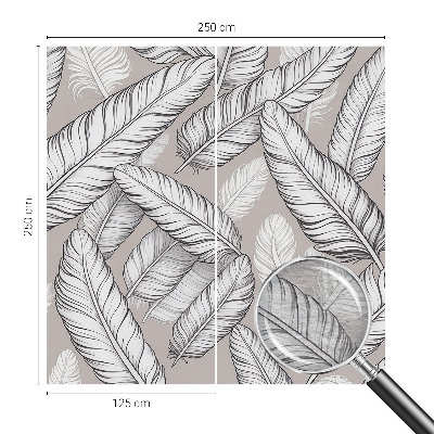 Foto tapet Subtile fjer