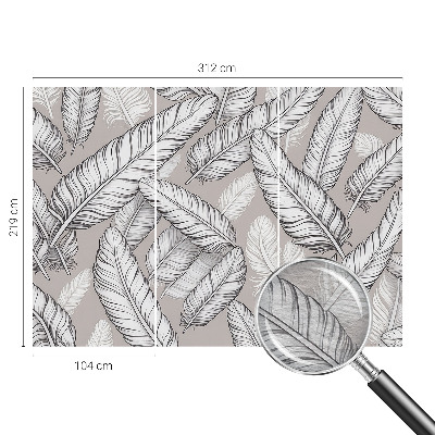 Foto tapet Subtile fjer