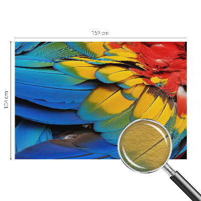 Fototapet på mål Regnbuefjer