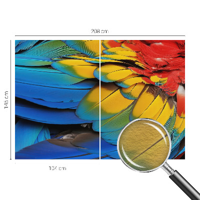 Fototapet på mål Regnbuefjer