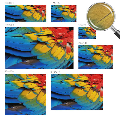 Fototapet på mål Regnbuefjer