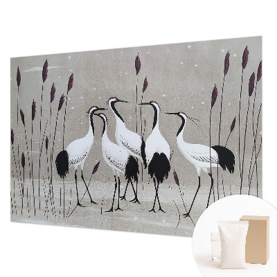 Høj kvalitet fototapet En flok traner