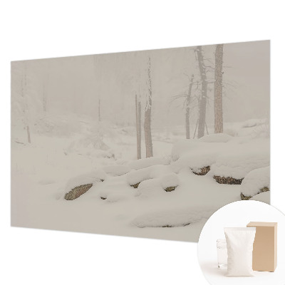 Foto tapet med motiv af en snedækket skov