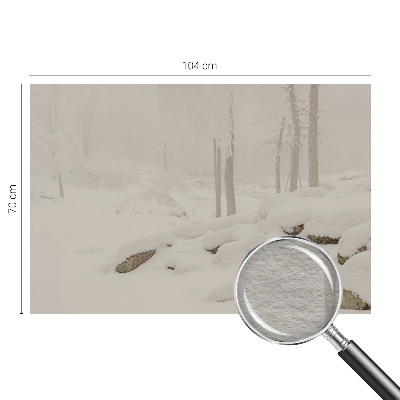 Foto tapet med motiv af en snedækket skov