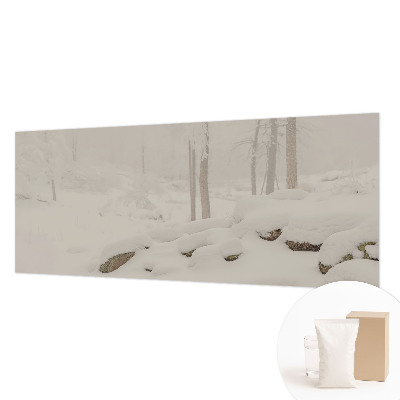 Foto tapet Snedækket skov