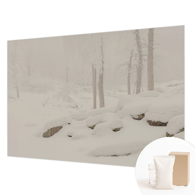 Foto tapet med motiv af en snedækket skov