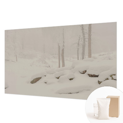 Foto tapet med motiv af en snedækket skov