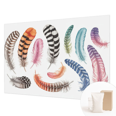 Fototapet stue Pastelfarvede fjer