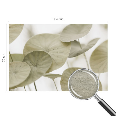 Fotovæg stue Naturlig elegance