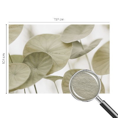 Fotovæg stue Naturlig elegance