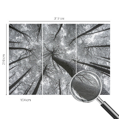 Fototapet stue Vinterlandskab