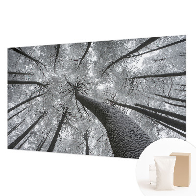 Fototapet stue Vinterlandskab