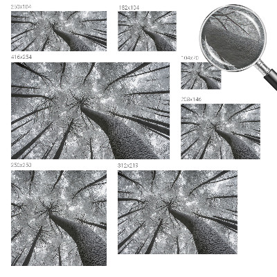 Fototapet stue Vinterlandskab