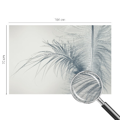 Modern fototapet med delikate fjer