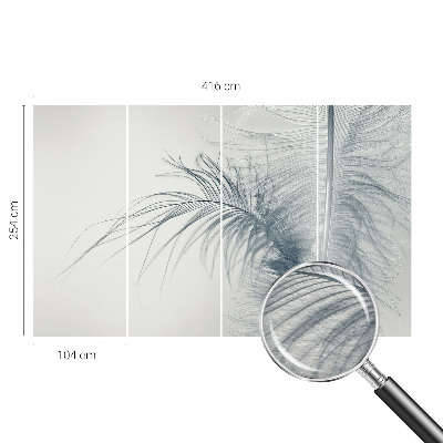 Modern fototapet med delikate fjer