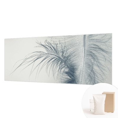 Modern fototapet med delikate fjer