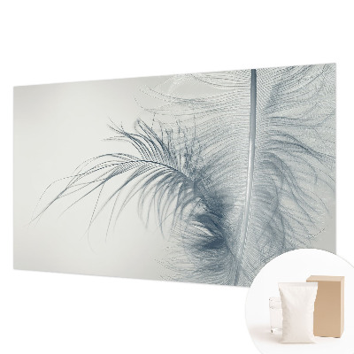 Modern fototapet med delikate fjer
