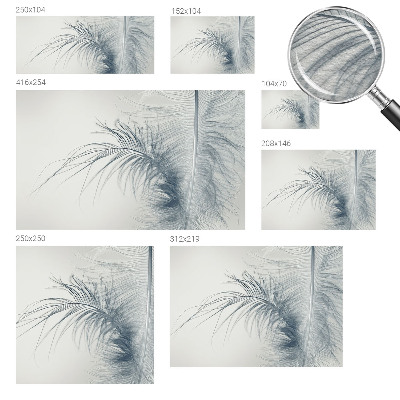 Modern fototapet med delikate fjer
